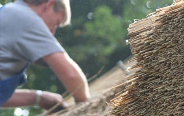 professional Aspatria thatchers